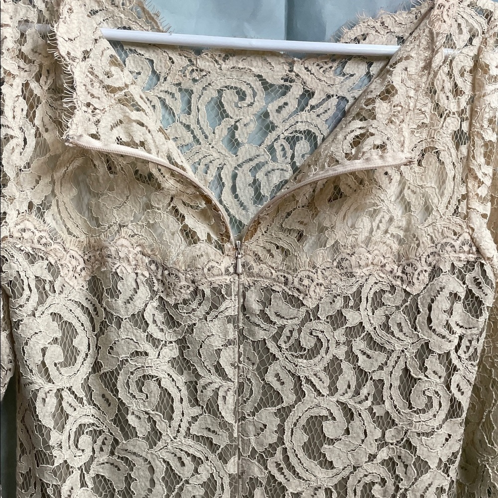 Tadashi Shoji Lace 3/4 Sleeve Dress in Cream and Tan with Belt - Picture 7 of 9
